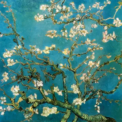 Almond Branches in Bloom Vincent van Gogh